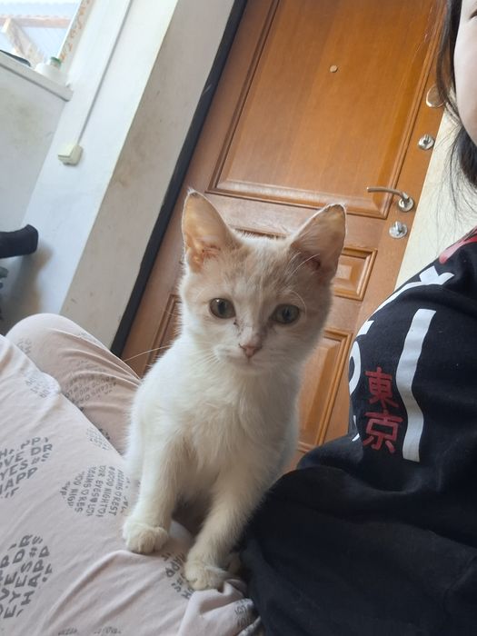 Малышка ищет себе дом