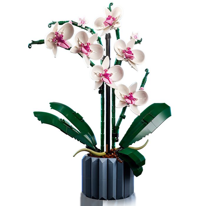 Конструктор LEGO Botanical - Орхидея