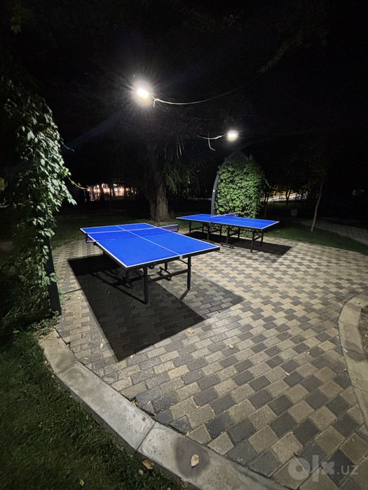 Настольный теннис Ping Pong