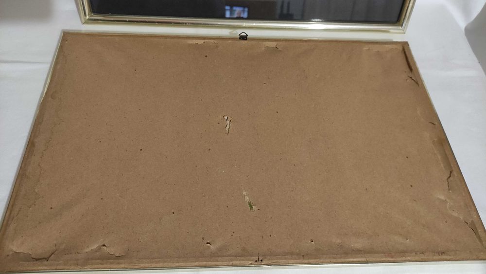 2 стенни пана/картини с изсушени цветя