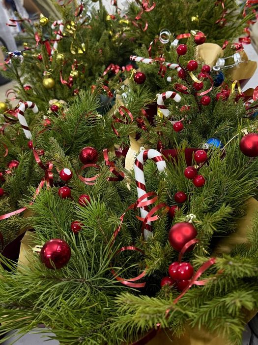 Композиции из Ели