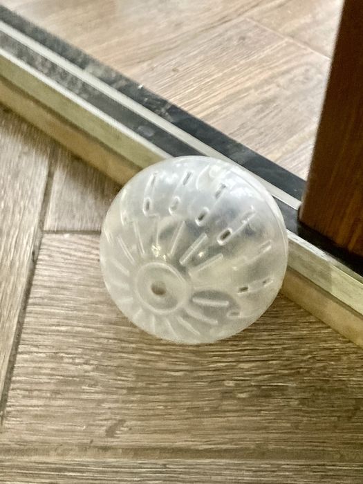 Продам хомяков - активные, ручные