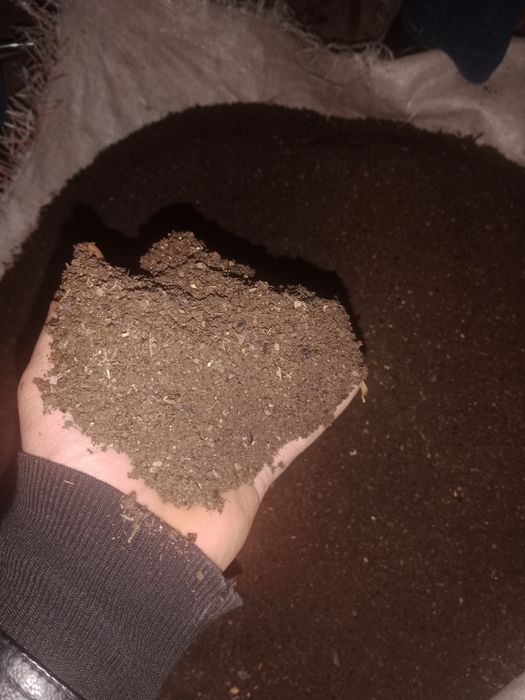 Biogomes bor sotiladi narxi 1500