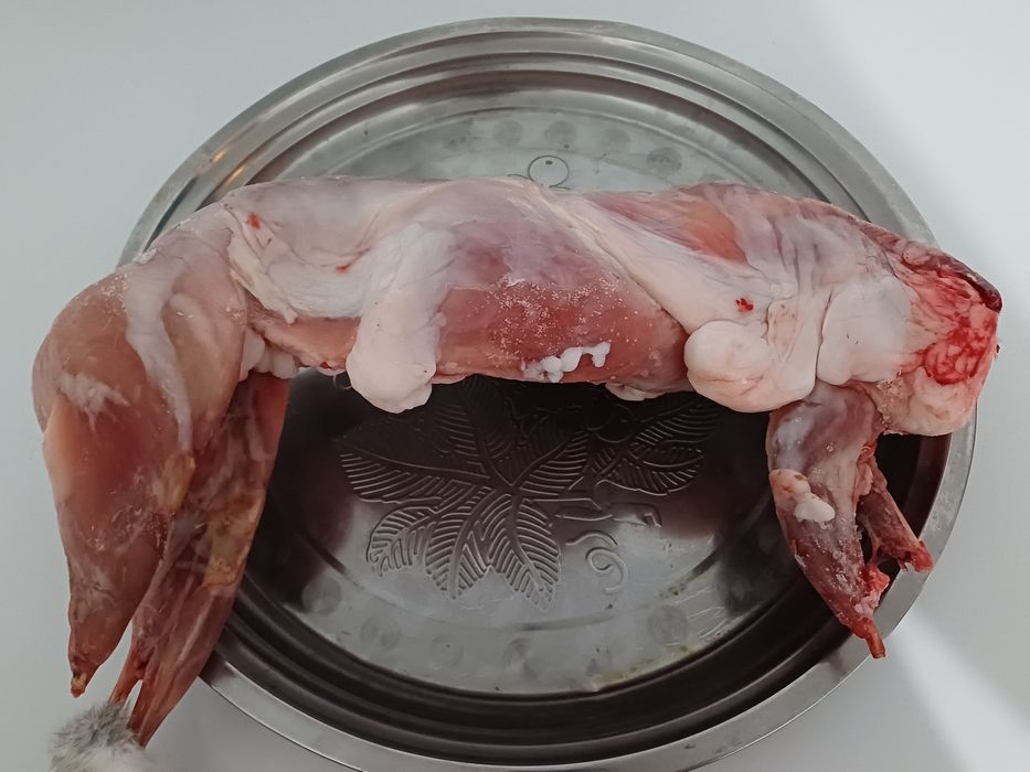 Продам мясо кроликов