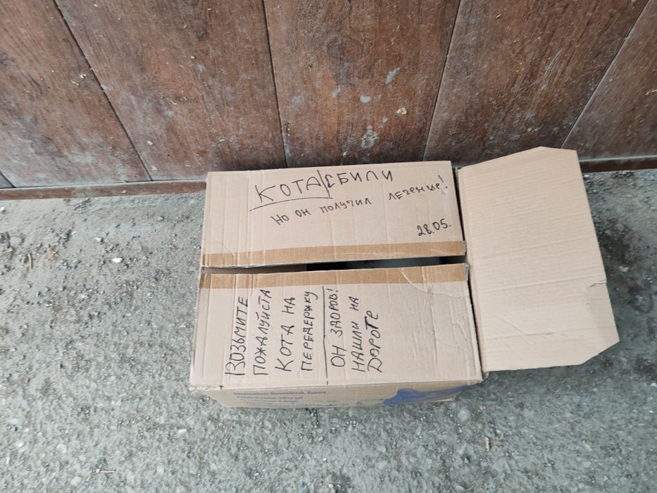 заберите котенка