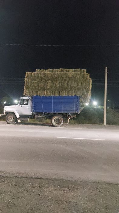 Шоп ( Сено ) 800тг