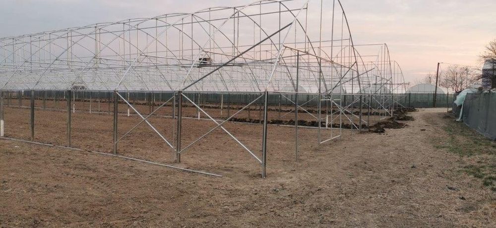 Solarii Rezistente  Baleni Sârbi