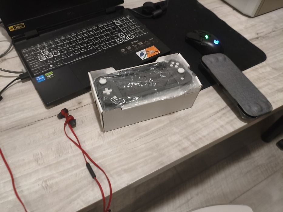 Nintendo switch lite