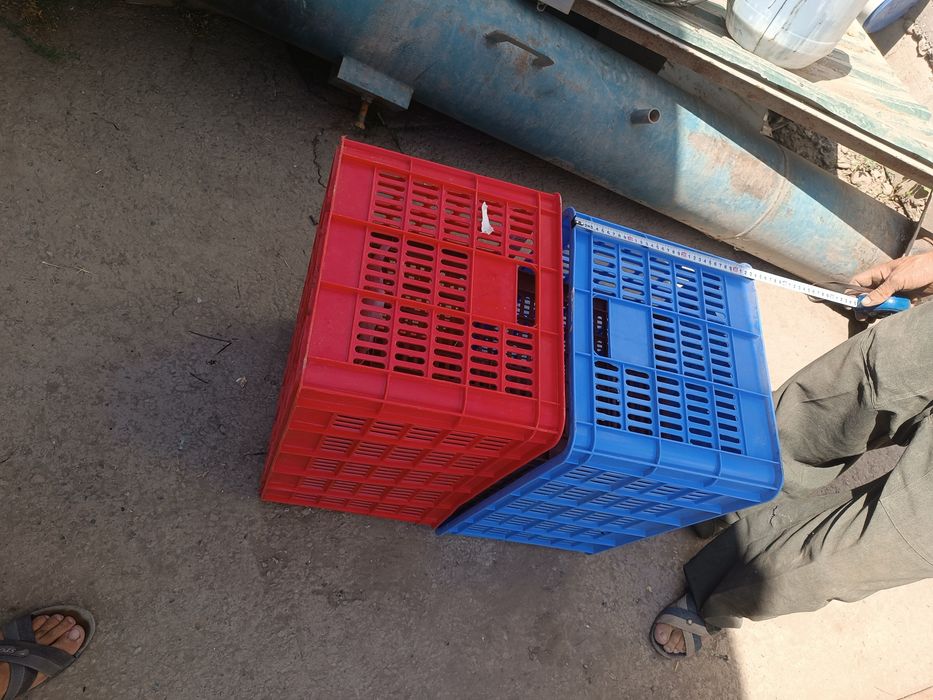 Plasmasa yashik tara