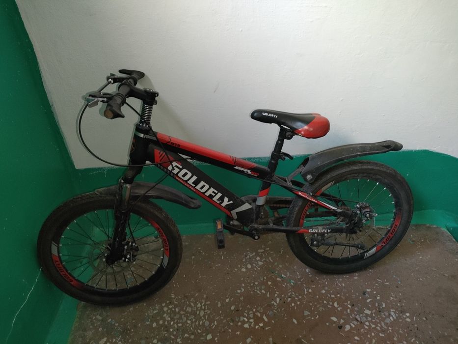 Велосипед жүріп тұр