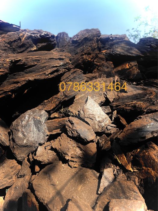 Cărbune lignit pentru centale termice