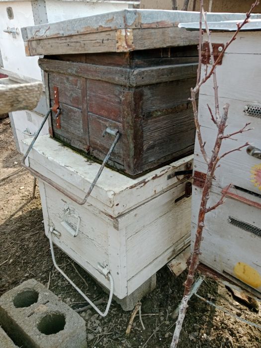 Улья для пчеловодства