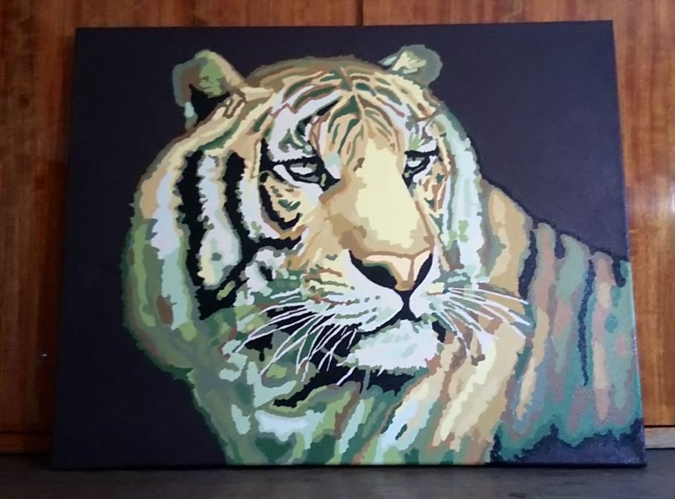 Картины по номерам. Готовые.