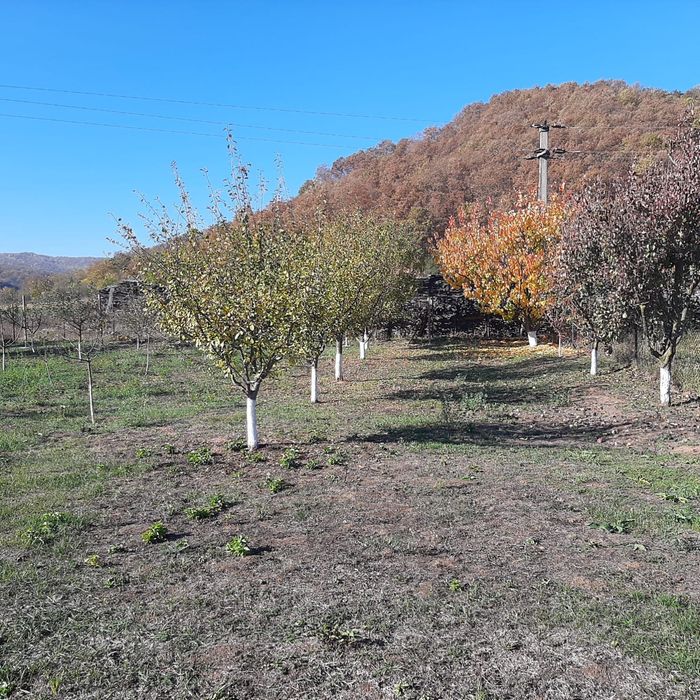 Apartament 3 cam + 10 ari teren ( curte+ livadă)