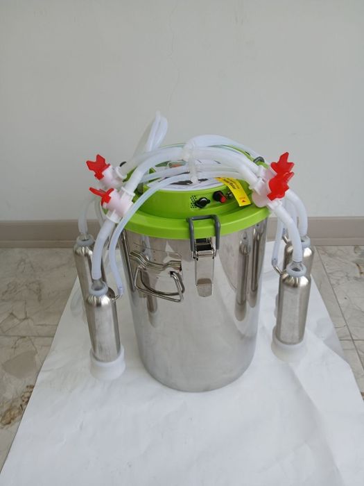 Sigir sogadigan apadat