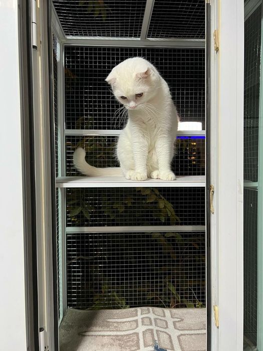 Изготавливаем АНТИ КОШКА.