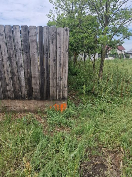 Teren de vânzare - 967 mp, Islaz, Ilfov - Ideal pentru locuință - Vedere 4