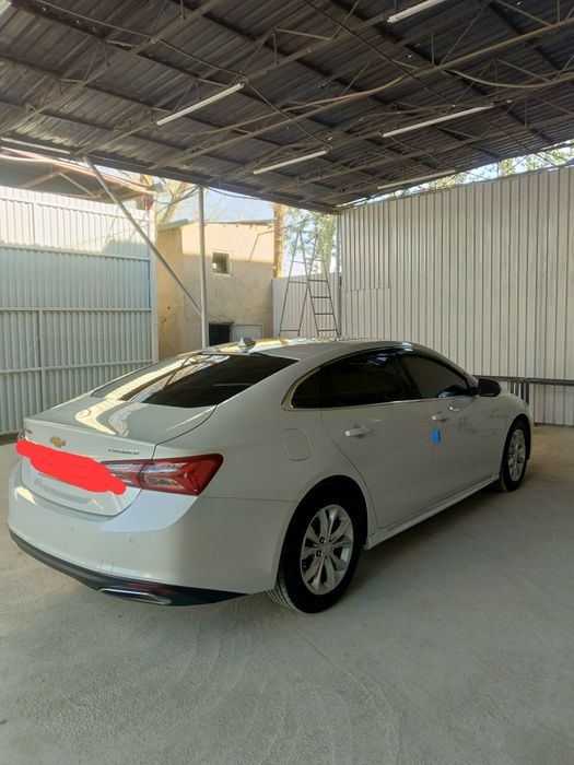 Maluba sotiladi xamma joyi yaxshi