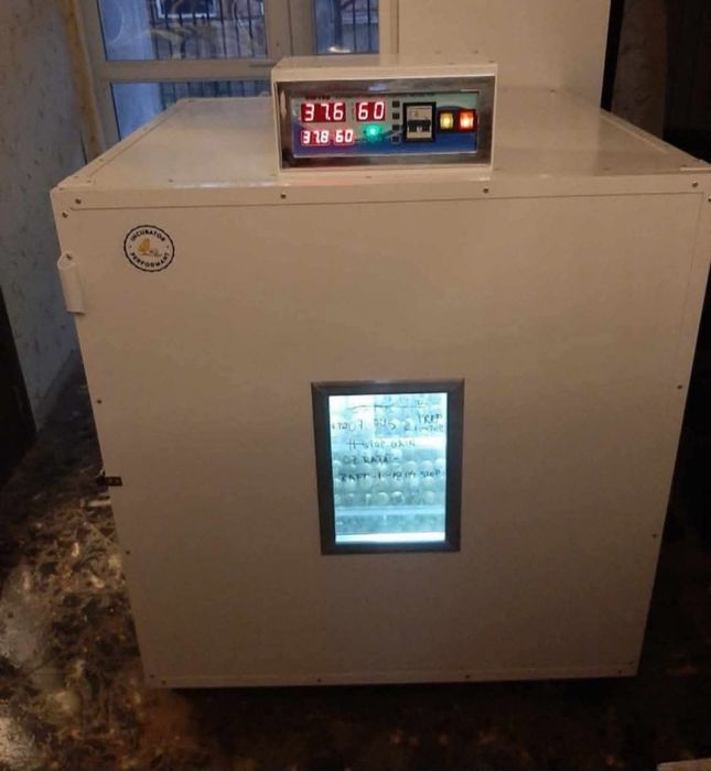 Incubator profesional automat
