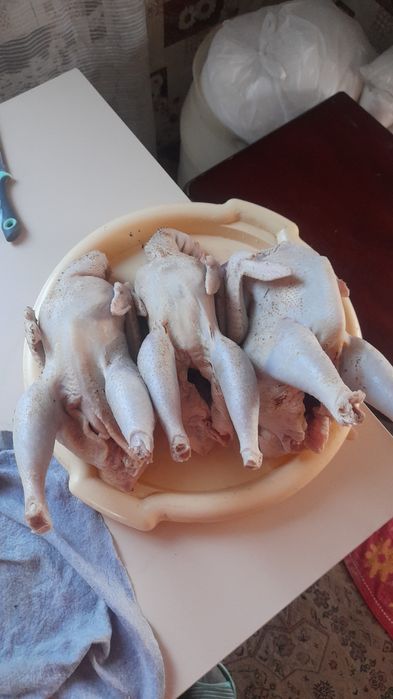 Куры бульонные домашние вкусные