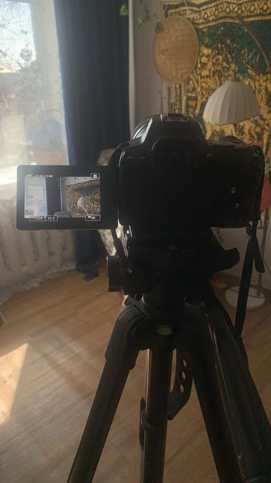 Фотоаппарат Canon 250d