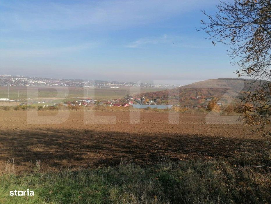 Teren extravilan 5000 mp, Uricani