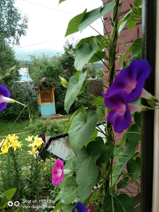 Продадим ухоженную дачу