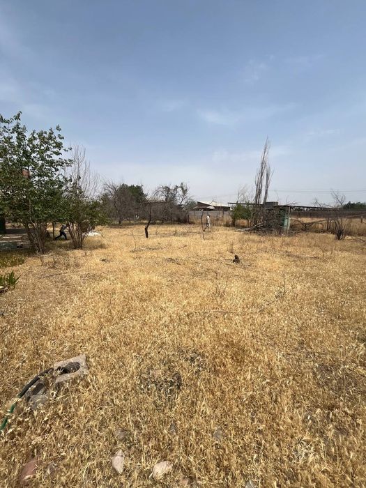 Dachshund prodayotsa