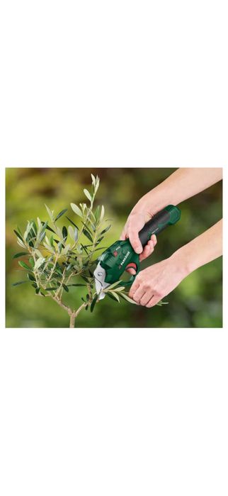 Foarfeca Gradina Vita Vie Crengi Trandafiri Parkside