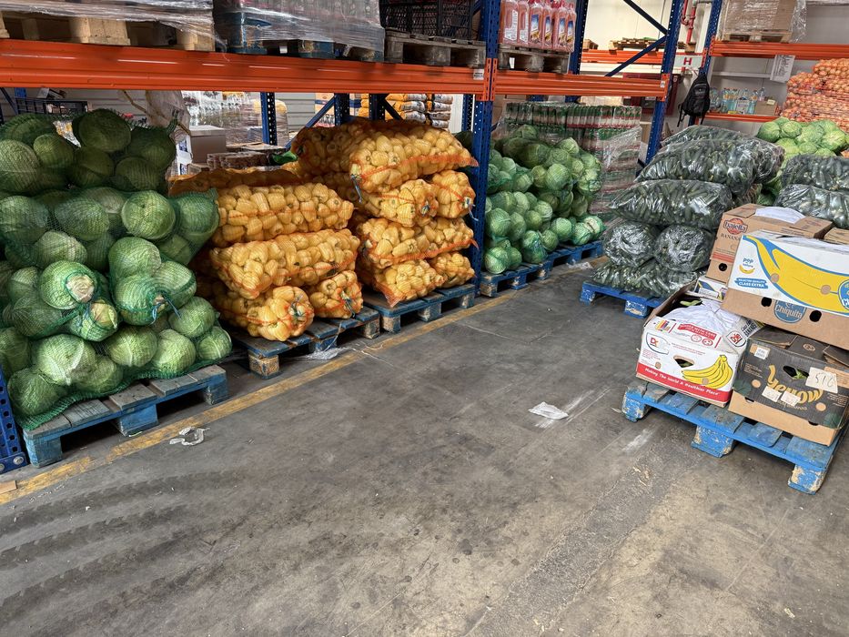 Castraveti , Cucumbers , ogórki, огірки
