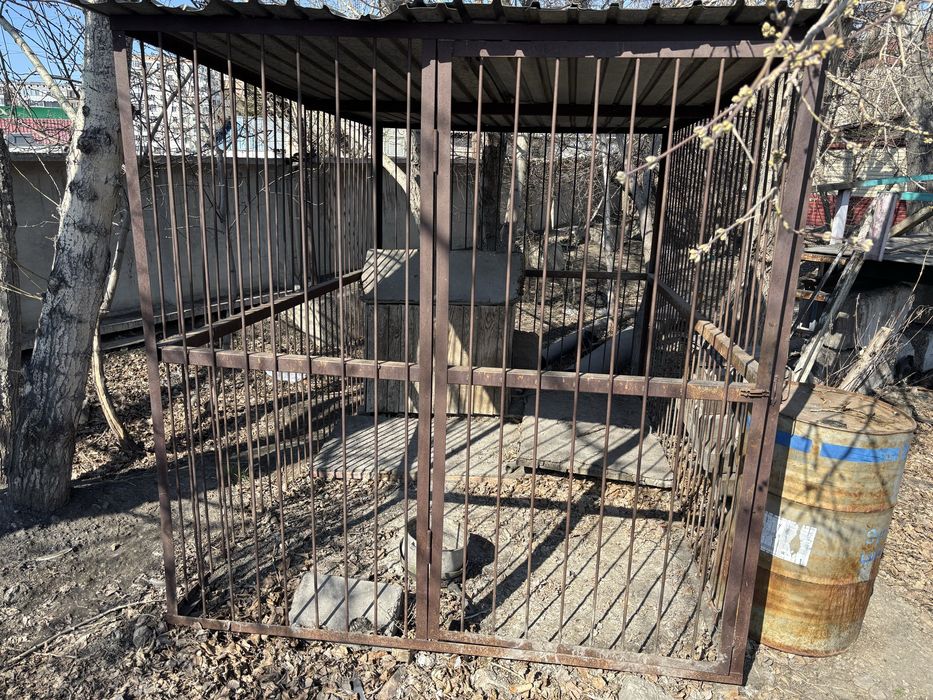 Вальер для собаки