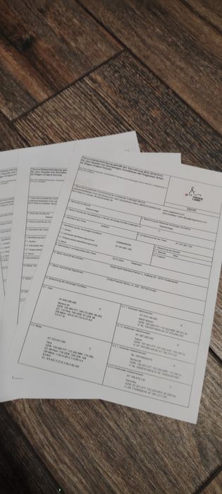 Capre saanen cu pedigree