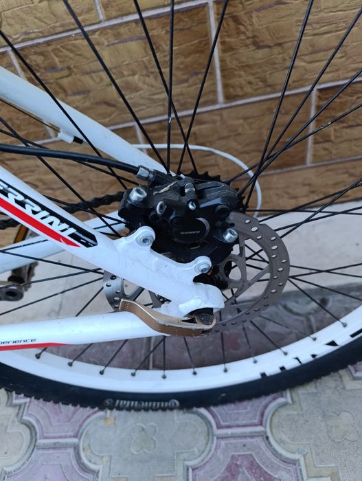 Ferini 26 цола    .