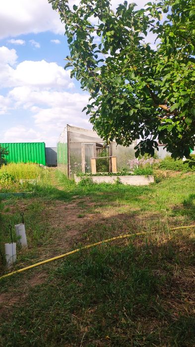 Продам дачу в Коянды