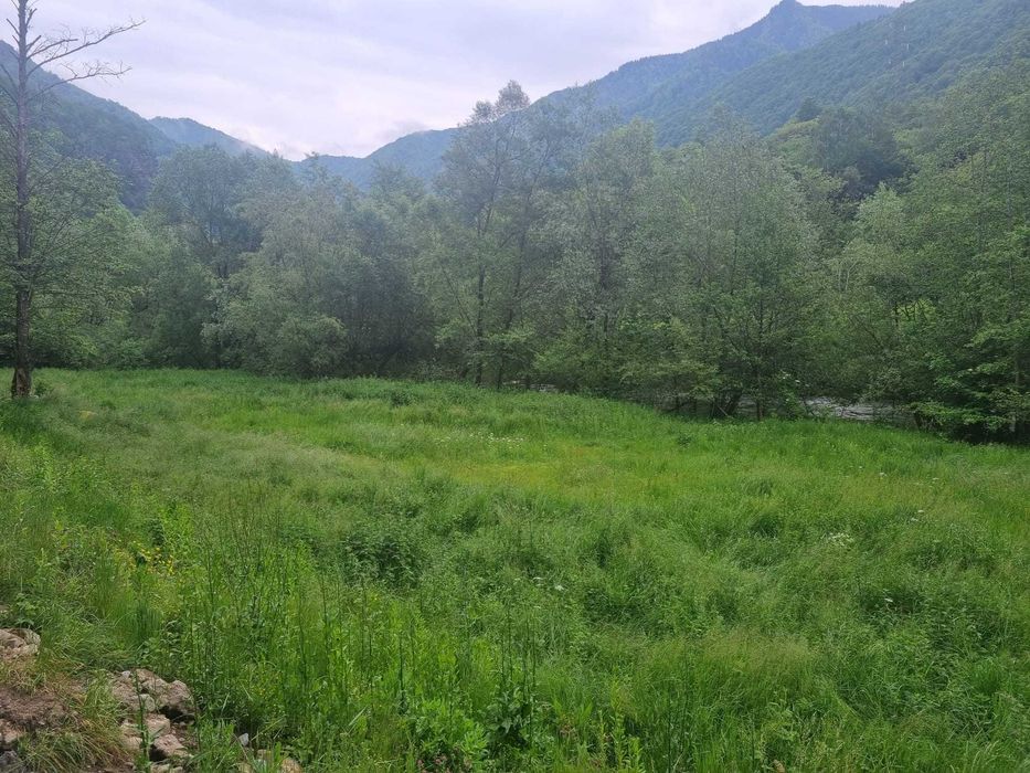 Teren Râul Mare Retezat