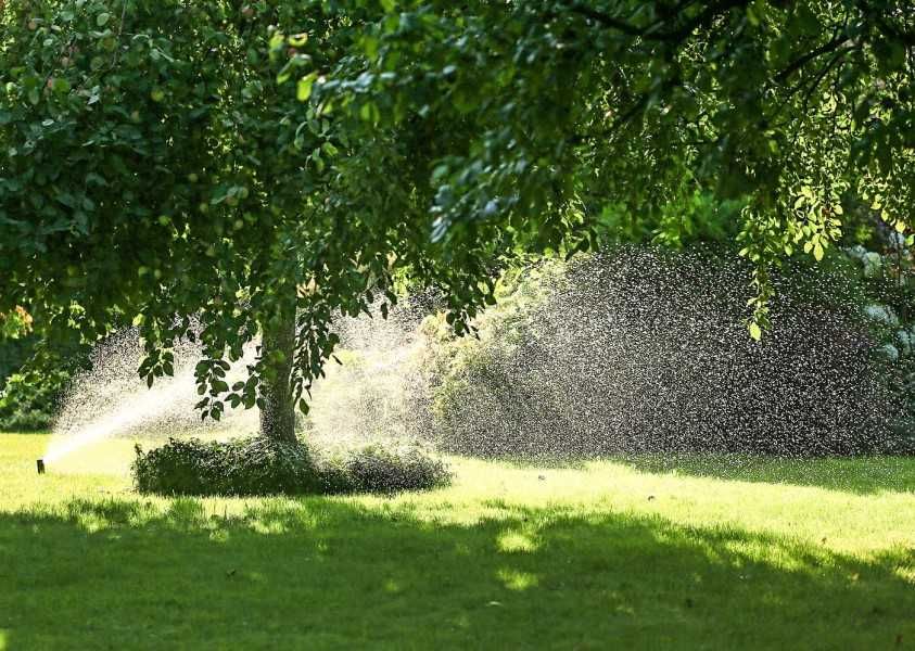 Автоматический полив газона , программирование программаторов полива.