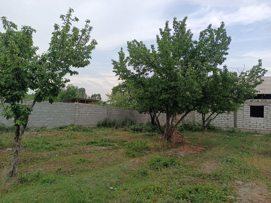 8 сотих ер участка сотилади паканада