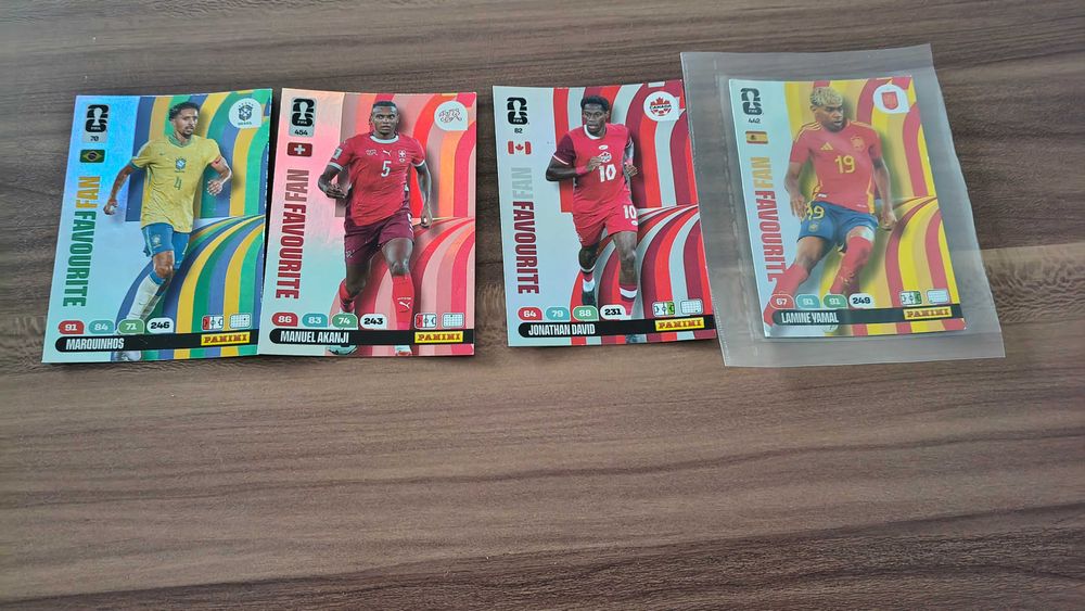 Cartonase Panini WC 26