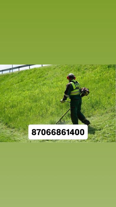 Шоп ору, Газон ору, Шөп ору