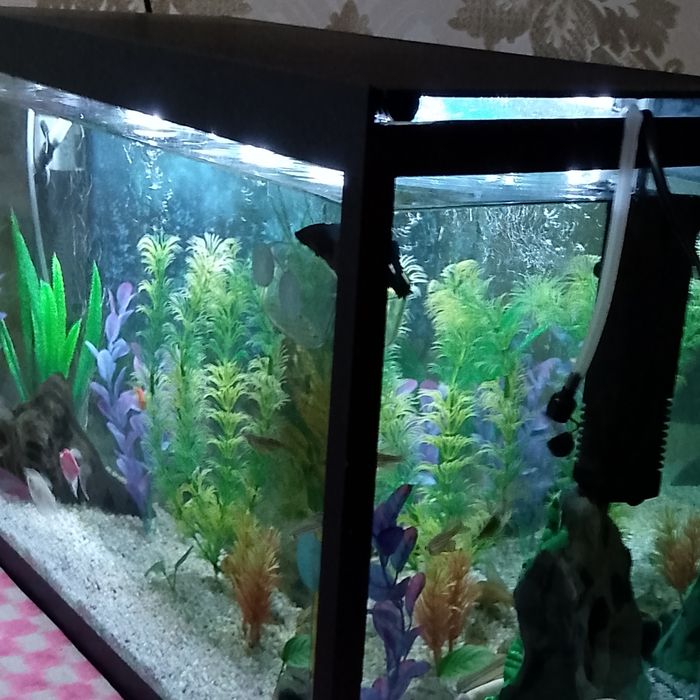 2 аквариума(почти новый),с комплектом и запасами приборами!