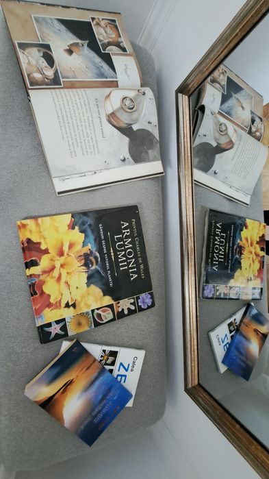 Harry Potter+   Lot de Carti ( pret lot