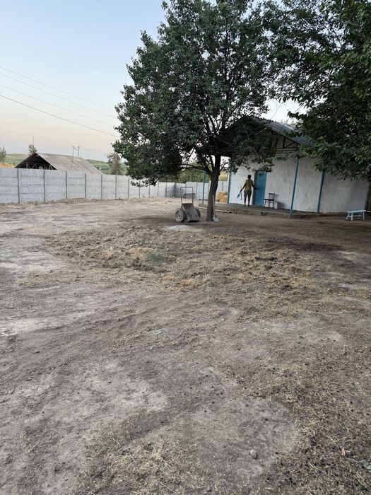 Parkent tumani Oqtepa MFY Mayak SVT da 6 sotix yer sotiladi