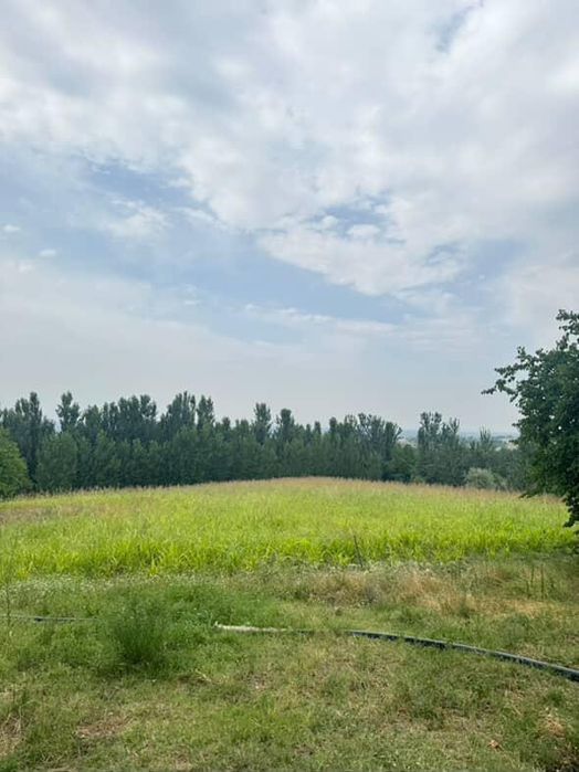 2 .5 gektar boğ baliq hovuzi ham bor