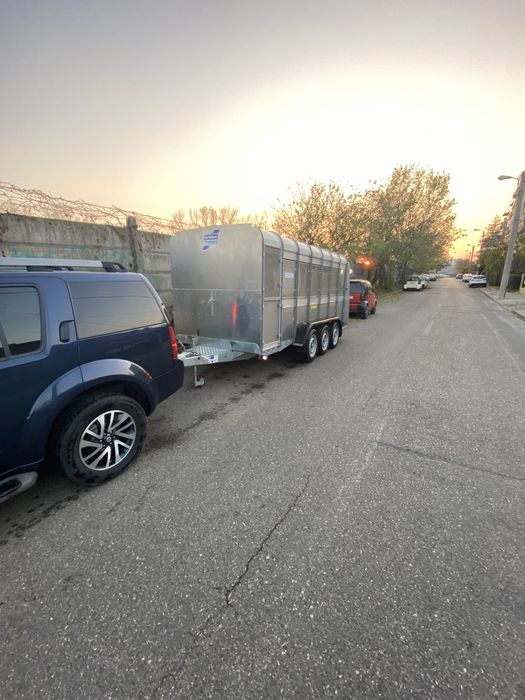 Transport animale vii 100% autorizat / livestock