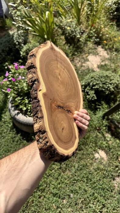 Доска для разделки из дерева (спил)