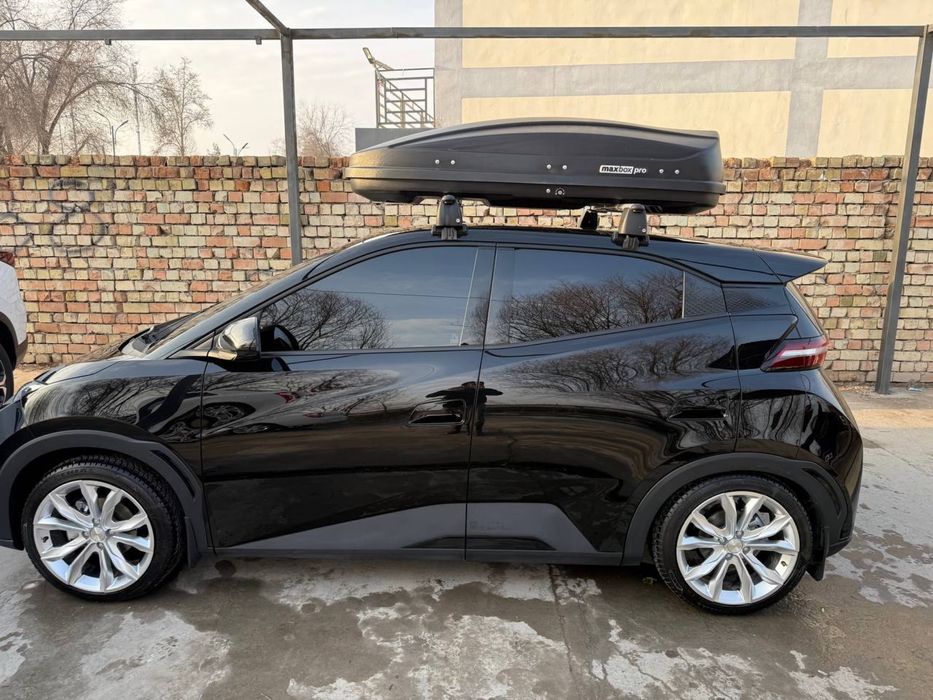 BYd seugell 2024 года