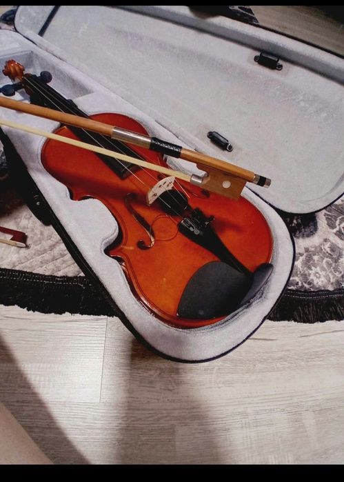 Instrument muzical vioara