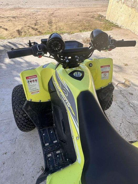 ATV електрическо 3000W