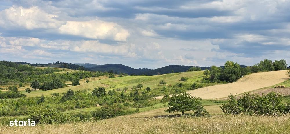 Teren Extravilan 9.528mp/ Vârciorog -Bihor / 30 km de Oradea