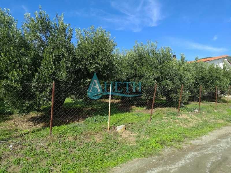 Продава се Парцел в София, Гео Милев - 1000 кв.м за 10 €/кв.м - Снимка #3